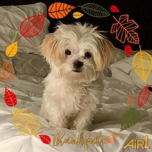 Meet your Posher, Mandy